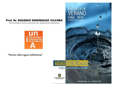 Prof. Dr. EUGENIO DOMÍNGUEZ VILCHES Universidad Internacional de Andalucía (España) “Puente sobre aguas turbulentas”  Escuela de Verano 2015