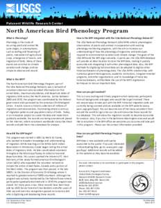 Patuxent Wildlife Research Center  North American Bird Phenology Program How is the BPP integrated with the USA-National Phenology Network?  Phenology is the study of