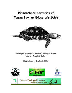 Diamondback Terrapins of Tampa Bay: an Educator’s Guide Developed by George L. Heinrich, Timothy J. Walsh and Dr. Joseph A. Butler Illustrations by Charles H. Miller