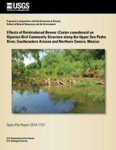 Effects of Reintroduced Beaver (Castor canadensis) on Riparian Bird Community Structure along the Upper San Pedro River, Southeastern Arizona and Northern Sonora, Mexico