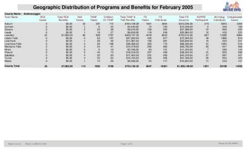 Geographic Distribution of Programs and Benefits for February 2005 County Name : Androscoggin Town Name RCA Cases