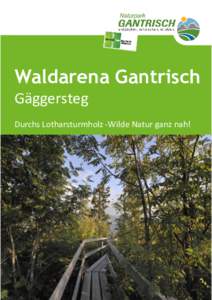 Waldarena Gantrisch Gäggersteg Durchs Lotharsturmholz -Wilde Natur ganz nah! ÖV- Anbindung Die Schutzhütte