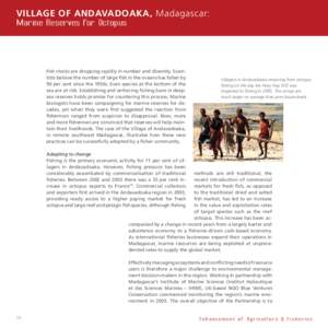 Village of Andavadoaka, Madagascar: Marine Reserves for Octopus Fish stocks are dropping rapidly in number and diversity. Scientists believe the number of large fish in the oceans has fallen by 90 per cent since the 1950