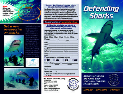 Cartilaginous fish / Ichthyology / Predators / Shark / Jaws / Outline of sharks / Shark sanctuary / Fish / Shark finning / Sharks