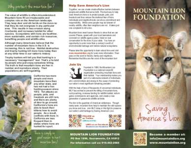 American Lion Brochure4PM