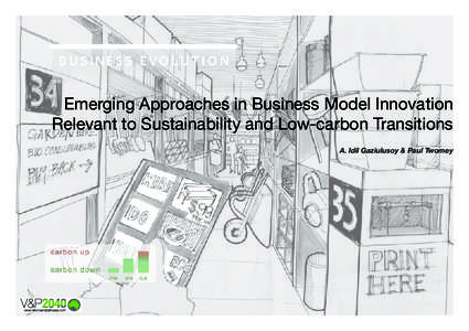 Emerging Approaches in Business Model Innovation Relevant to Sustainability and Low-carbon Transitions A. Idil Gaziulusoy & Paul Twomey A. Idil Gaziulusoy & Paul Twomey. Working paper for the Visions & Pathways project,