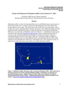 Ecology and management of Dalmatian toadflax (Linaria dalmatica (L.) Mill.)