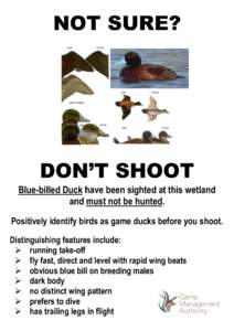 NOT SURE?  DON’T SHOOT Blue-billed Duck have been sighted at this wetland and must not be hunted. Positively identify birds as game ducks before you shoot.