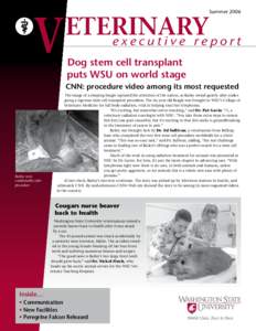 Veterinary Executive Report Summer 2006