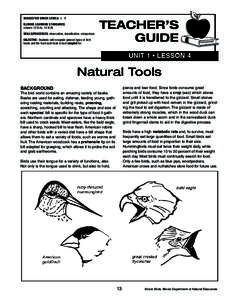 Bird / Digestion / Crow / Gizzard / Blue Jay / Nuthatch / Zoology / Biology / Beak