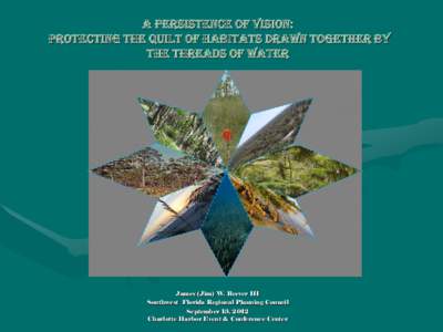A Persistence of Vision: Protecting the Quilt of Habitats Drawn Together By the Threads of Water James (Jim) W. Beever III Southwest Florida Regional Planning Council