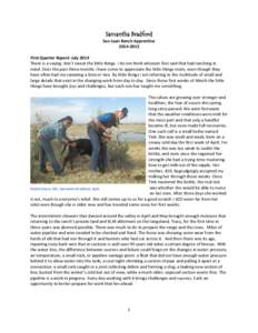 Samantha Bradford  San Juan Ranch ApprenticeFirst Quarter Report: July 2014 There is a saying: don’t sweat the little things. I do not think whoever first said that had ranching in