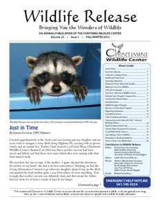 Wildlife Release Bringing You the Wonders of Wildlife AN ANNUAL PUBLICATION OF THE CHINTIMINI WILDLIFE CENTER Volume 23 • Issue 1 • FALL/WINTER[removed]What’s Inside