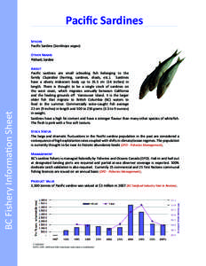 Pacific Sardines Species Pacific Sardine (Sardinops sagax) BC Fishery Information Sheet