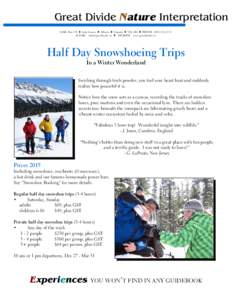 Snowshoe / Ë / Winter / Footwear / Hiking equipment / Snow