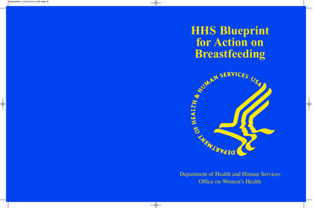 HHS Blueprint for Action on Breastfeeding
