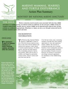 MARINE MAMMAL, SEABIRD, AND TURTLE DISTURBANCE Action Plan Summary Monterey Bay National Marine Sanctuary The Issue: