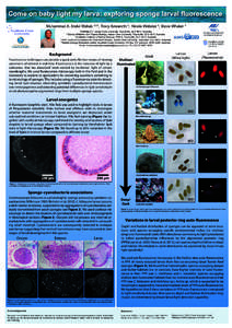 Fluorescence poster_small