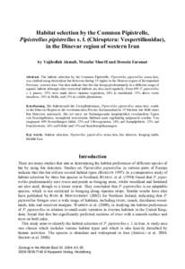 Taxonomy / Common Pipistrelle / Dar es Salaam Pipistrelle / Least Pipistrelle / Vesper bats / Pipistrellus / Fauna of Pakistan