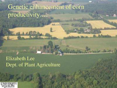 Genetic enhancement of corn productivity.… Elizabeth Lee Dept. of Plant Agriculture