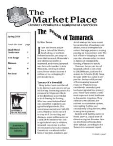 The  Market Place Timber ● Products