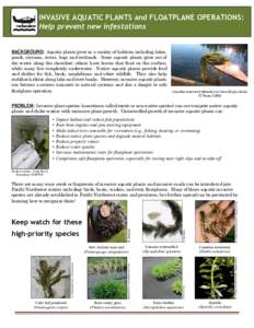 INVASIVE AQUATIC PLANTS and FLOATPLANE OPERATIONS: Help prevent new infestations BACKGROUND: Aquatic plants grow in a variety of habitats including lakes, ponds, streams, rivers, bogs and wetlands. Some aquatic plants gr