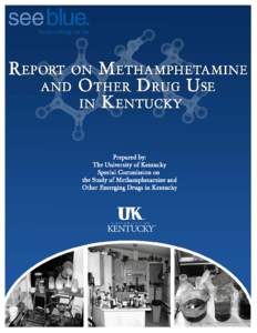 REPORT ON METHAMPHETAMINE AND OTHER DRUG USE IN KENTUCKY Prepared by  The University of Kentucky Special Commission on the Study of
