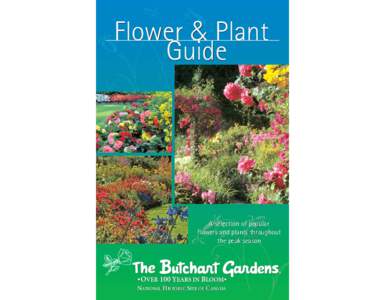 Flower & Plant Guide A selection of popular flowers and plants throughout the peak season