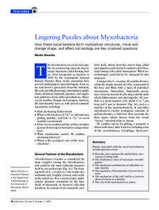 Lingering Puzzles about Myxobacteria How these social bacteria form multicellular structures, move and change shape, and affect soil ecology are key unsolved questions