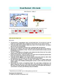 Microsoft Word - Otis tarda factsheet - SWIFI.doc