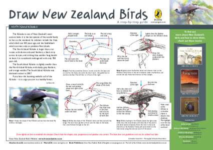 Draw New Zealand Birds A step-by-step guide PUFFIN  www.penguin.co.nz
