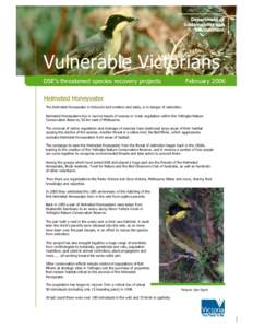 Vulnerable Victorians DSE’s threatened species recovery projects FebruaryHelmeted Honeyeater