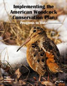 Implementing the American Woodcock Conservation Plan Progress to Date  Wildlife