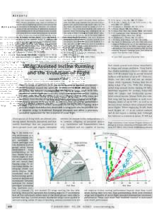 Bird flight / Bird behavior / Origin of avian flight / Wing-assisted incline running / Dinosaurs / Wair / Flight feather / Alectoris / Flight / Bird / Galliformes / Evolution of birds