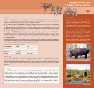 Molonglo Catchment Group  Pest Animal Fact Sheet Pigs Impacts