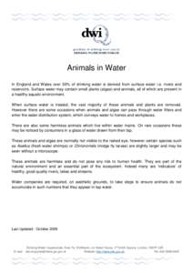 DRINKING WATER INSPECTORATE  Animals in Water In England and Wales over 50% of drinking water is derived from surface water i.e. rivers and reservoirs. Surface water may contain small plants (algae) and animals, all of w