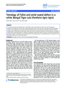 Cardiology / Tetralogy of Fallot / Overriding aorta / Right-to-left shunt / Right ventricular hypertrophy / Congenital heart defect / Ventricular septal defect / Cardiac shunt / Atrial septal defect / Congenital heart disease / Circulatory system / Medicine