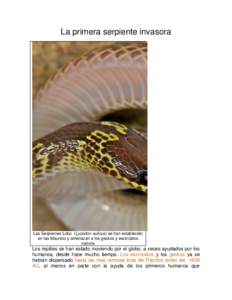 La primera serpiente invasora  Las Serpientes Lobo (Lycodon aulicus) se han establecido en las Mauricio y amenazan a los geckos y escincidos nativos