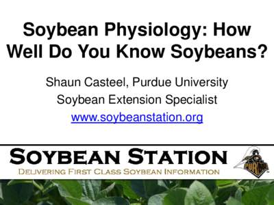 Soybean Growth and Development