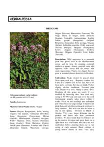 HERBALPEDIA OREGANO Origan, Pelevoué, Marazolette, Penevoué, Thé rouge, Thym de berger, Doste (French); Oregánó, Szurokfû; vadmajoránna, Kaslók, Fekete