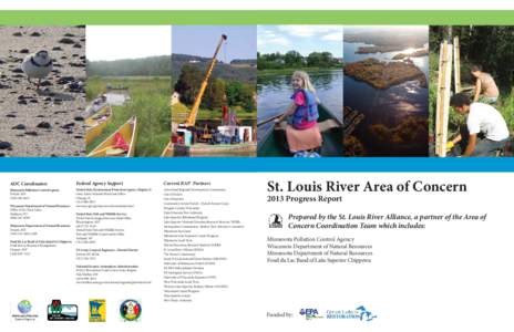 St Louis River Area of Concern 2013 Progress report