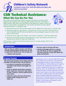 Children’s Safety Network A national resource for child and adolescent injury and violence prevention CSN Technical Assistance: What We Can Do For You