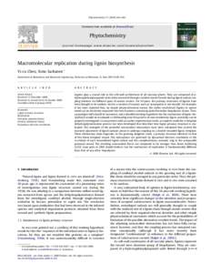 Macromolecular replication during lignin biosynthesis