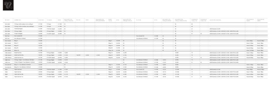 Formato Regularizador Subtel3