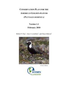 CONSERVATION PLAN FOR THE AMERICAN GOLDEN-PLOVER (PLUVIALIS DOMINICA) Version 1.1 February 2010 Robert P. Clay1, Arne J. Lesterhuis2, and Oscar Johnson3