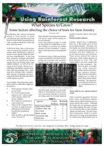 Trees of Australia / Systems ecology / Land management / Agroforestry / Grevillea robusta / Plantation / Reforestation / Araucaria cunninghamii / Forest / Forestry / Flora of Australia / Flora of New South Wales