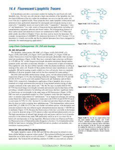 14.4 Fluorescent Lipophilic Tracers Cell membranes provide a convenient conduit for loading live and fixed cells with lipophilic dyes. Not only can cells tolerate a high concentration of the lipophilic dye, but