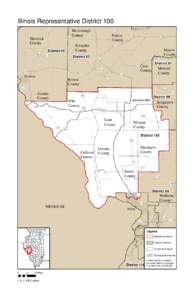 2011 Illinois Representative District 100