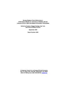 SAVING ENERGY COST-EFFECTIVELY: A NATIONAL REVIEW OF THE COST OF ENERGY SAVED THROUGH UTILITY-SECTOR ENERGY EFFICIENCY PROGRAMS Katherine Friedrich, Maggie Eldridge, Dan York, Patti Witte and Marty Kushler September 2009