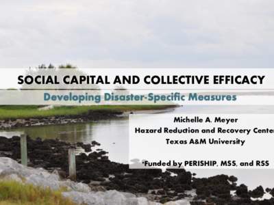 SOCIAL CAPITAL AND COLLECTIVE EFFICACY Developing Disaster-Specific Measures Michelle A. Meyer Hazard Reduction and Recovery Center Texas A&M University